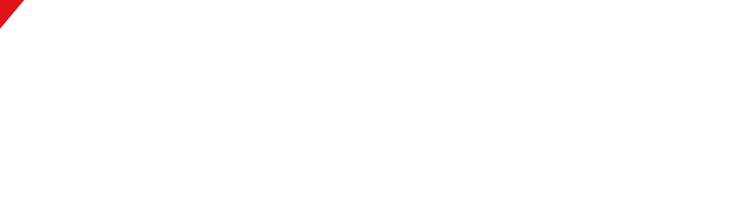 FIERDIS 菲尔迪斯